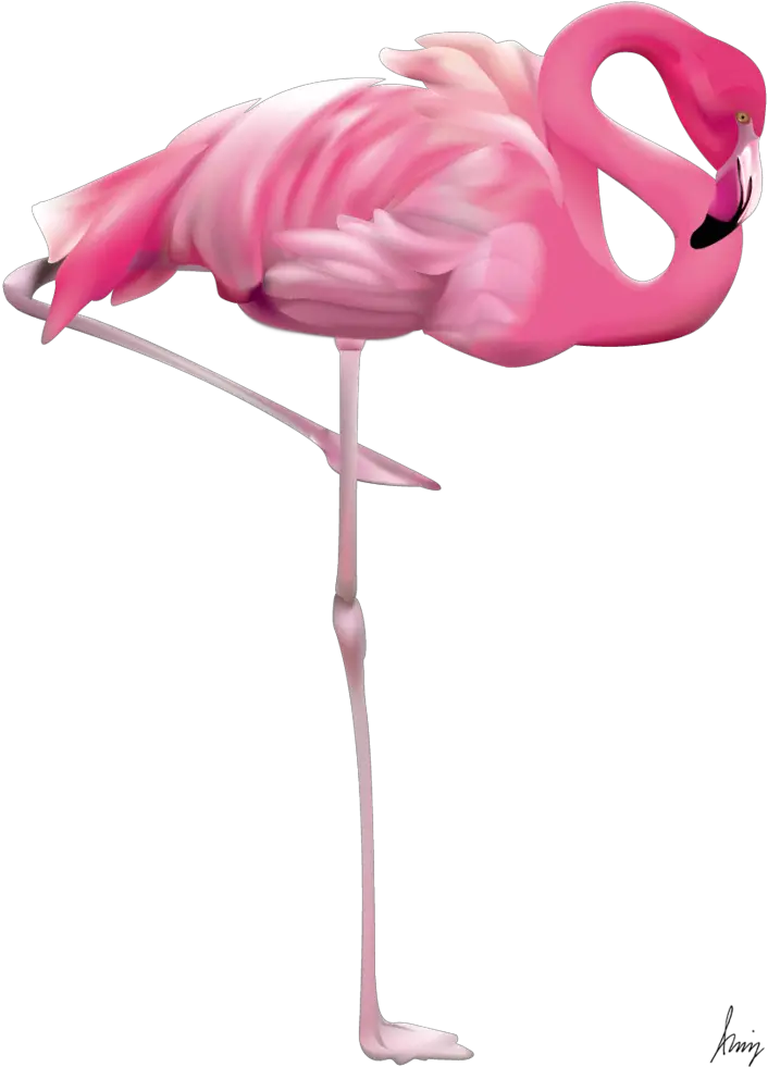 Flamingo Em Png Image Flamingo Art Png Flamingo Transparent Background