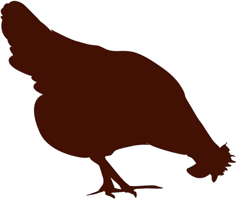 Transparent Png Svg Vector Transparent Chicken Silhouette Chicken Silhouette Png