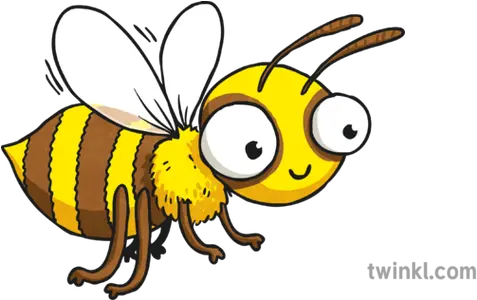 Cartoon Bee Illustration Twinkl Bee Png Cartoon Bee Png