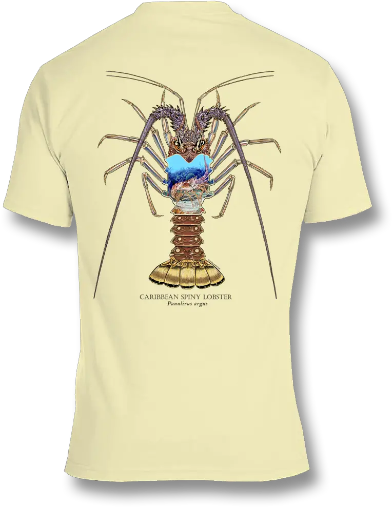 Spiny Lobster In Short Png