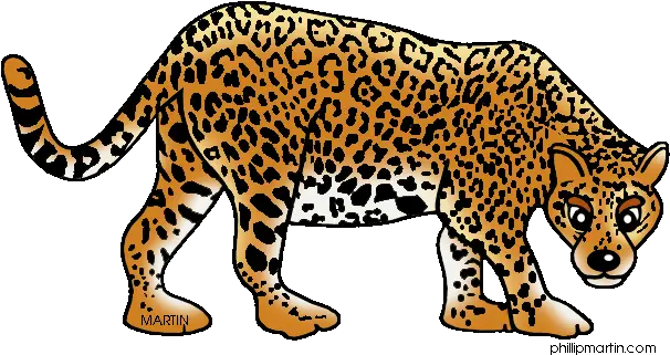 10 Jaguar Clipart Realistic For Free Download Sharma Png Animals Transparent Background