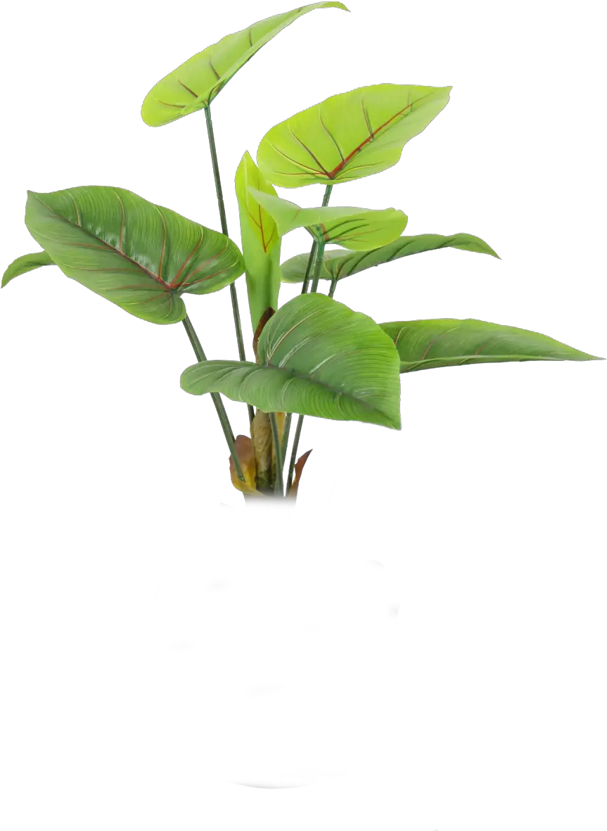 Png Format Images Nature Transparent Photoshop Plants Png Nature Png