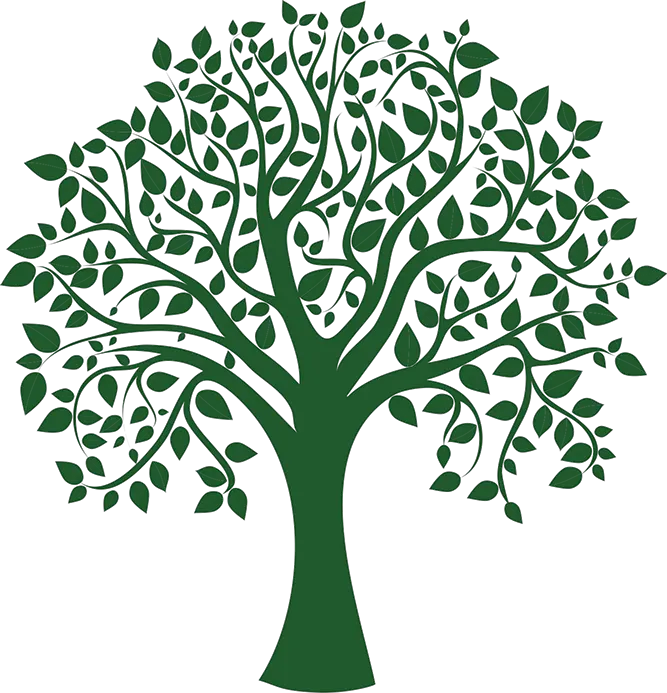 Tree In Hand Png