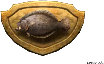 Itemfantastic Flounder Trophy Lotrowikicom Fishing Lotro Trophies Png Flounder Png