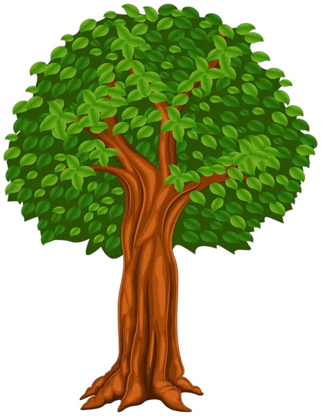 Orange Tree Png