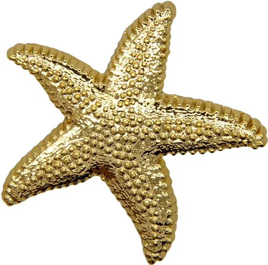 Download Hd Starfish Pin Gold Shine Starfish Transparent Starfish Png Starfish Transparent