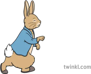 Peter Rabbit Profile Book Character Beatrix Potter Blue Cartoon Png Peter Rabbit Png