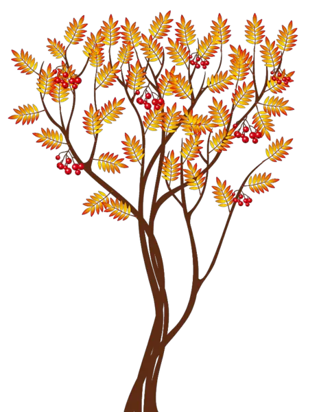 Nariyal Tree Png