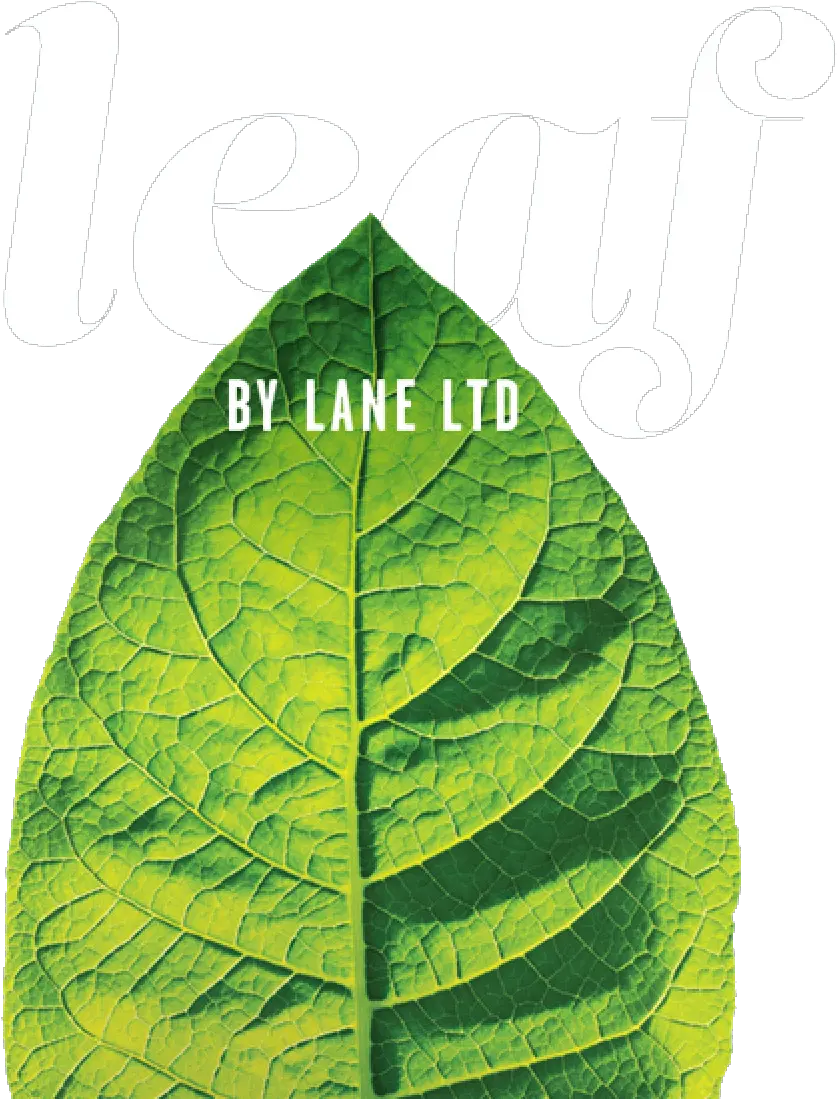 Leaf By Lane Ltd Quiz Tobacco Leaf Png Tobacco Leaf Png