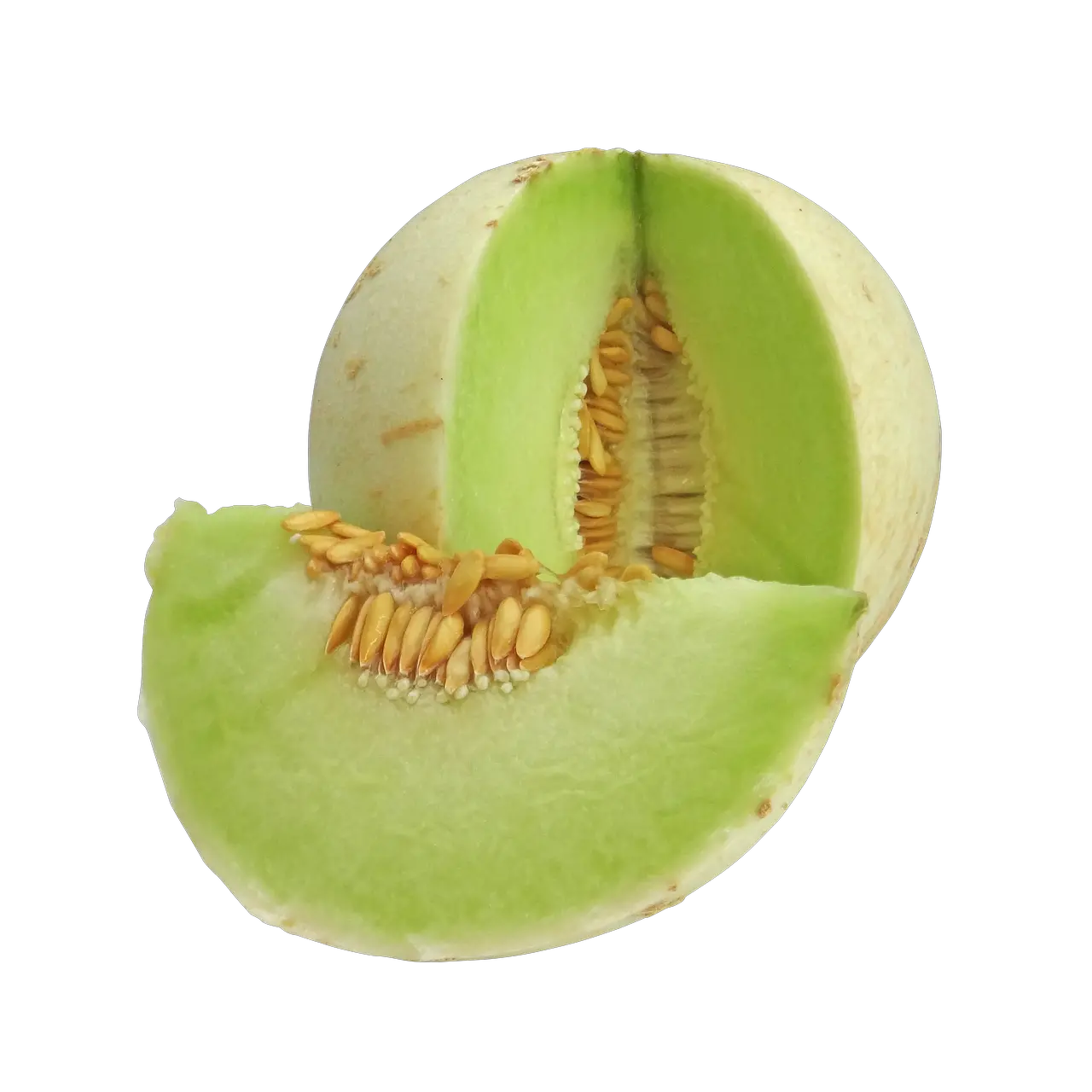 Buah Melon Png 3 Image Honeydew Melon Png Melon Png