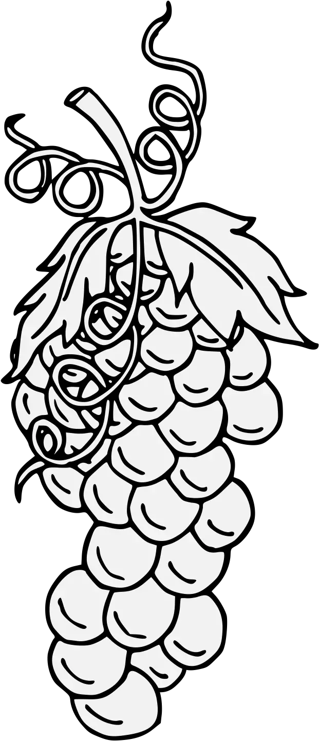Grape Traceable Heraldic Art Grape Heraldry Png Grape Png