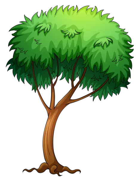 Vector Coconut Tree Png