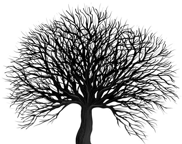 Tree Root Png