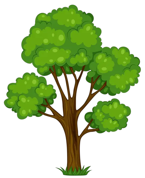 Flower Tree Png Hd