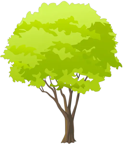 Img_tree Png