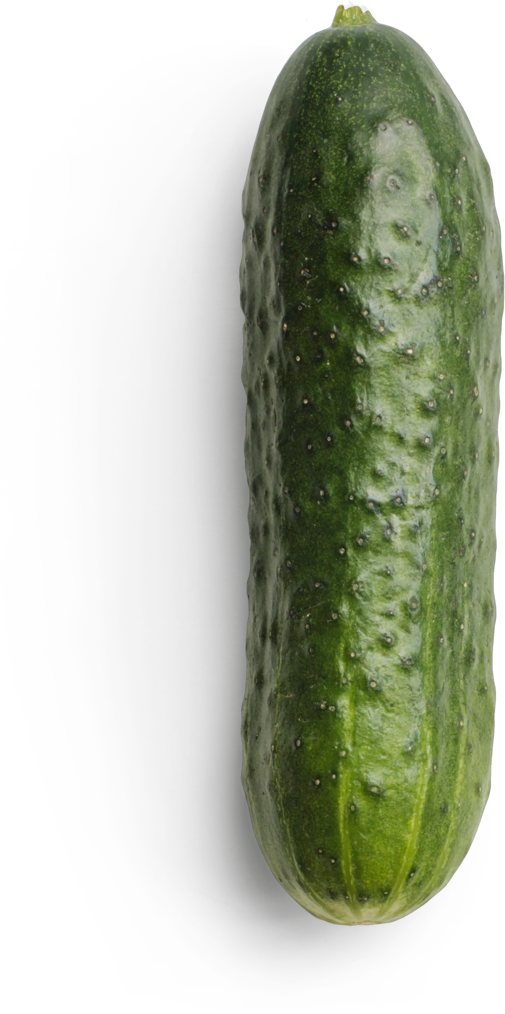 Cucumber Graphic Asset Spreewald Gherkins Png Cucumber Transparent