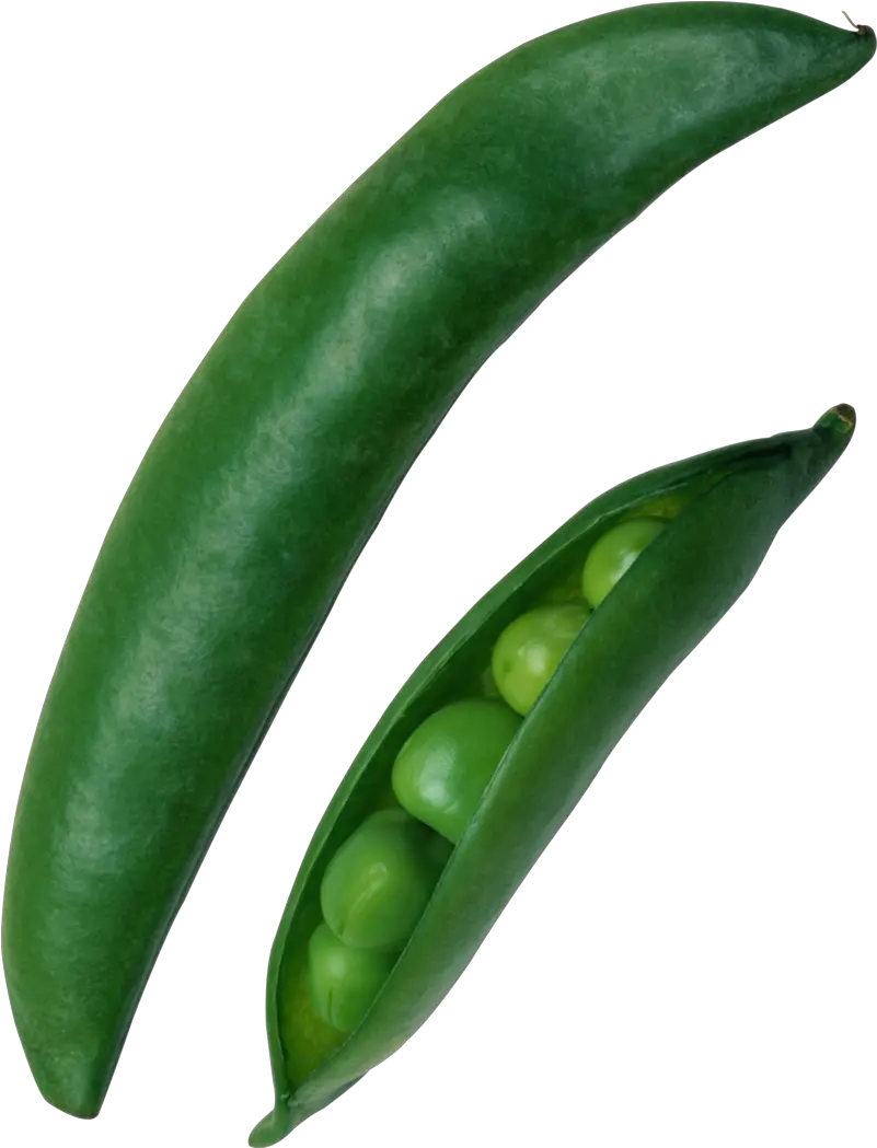 Download Pea Png Image With Transparent