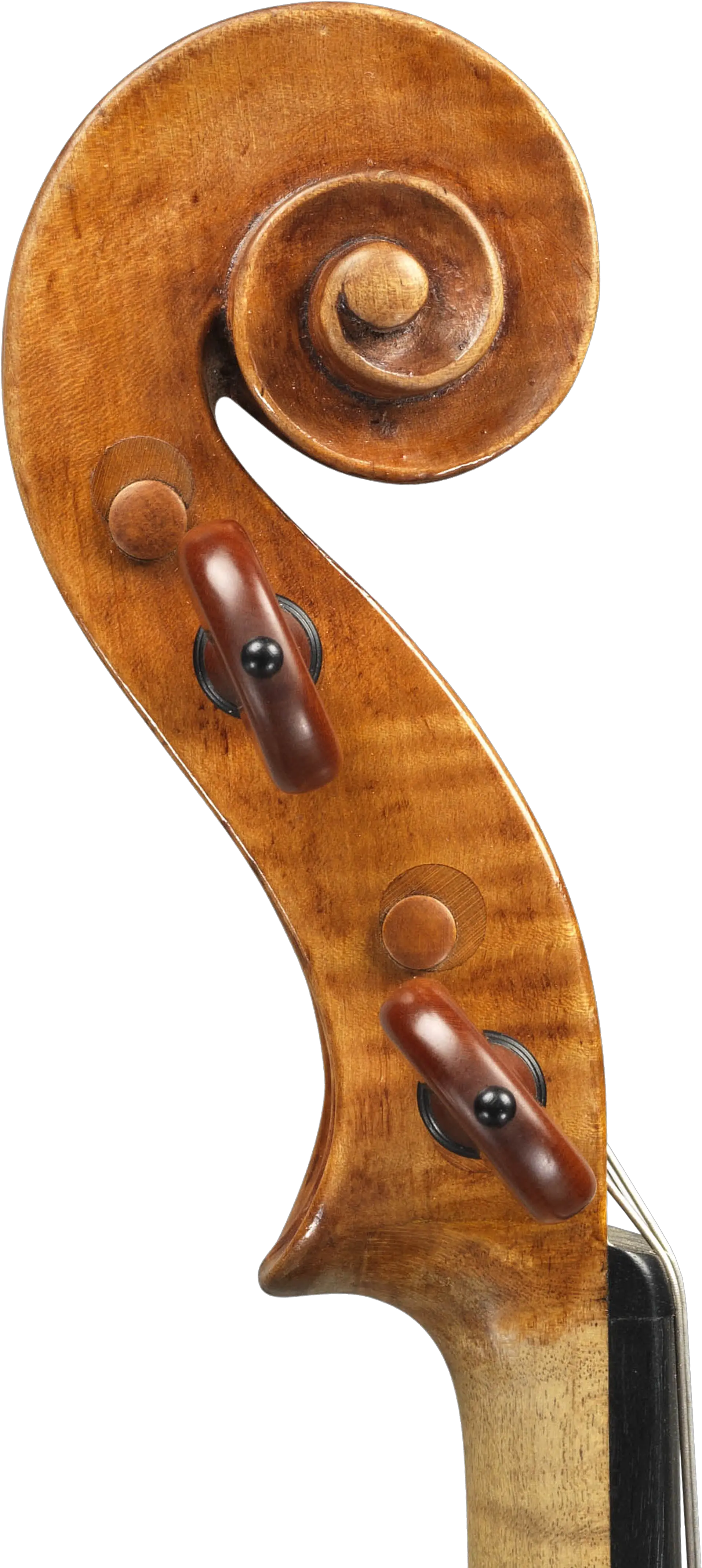 Giuseppe Ceruti Violin For Sale Solid Png Violin Transparent