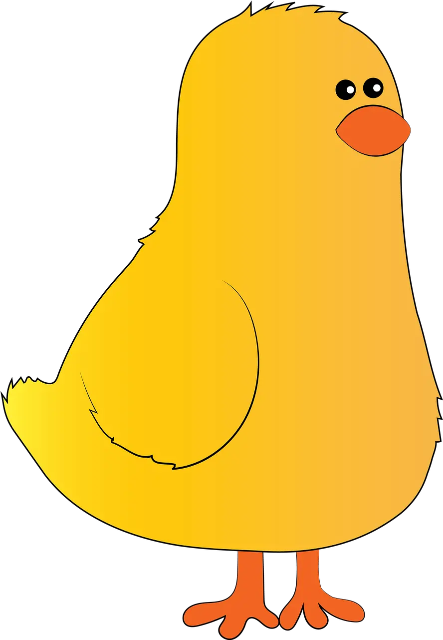 Chick Farm Hen Free Image On Pixabay Cartoon Png Chick Png