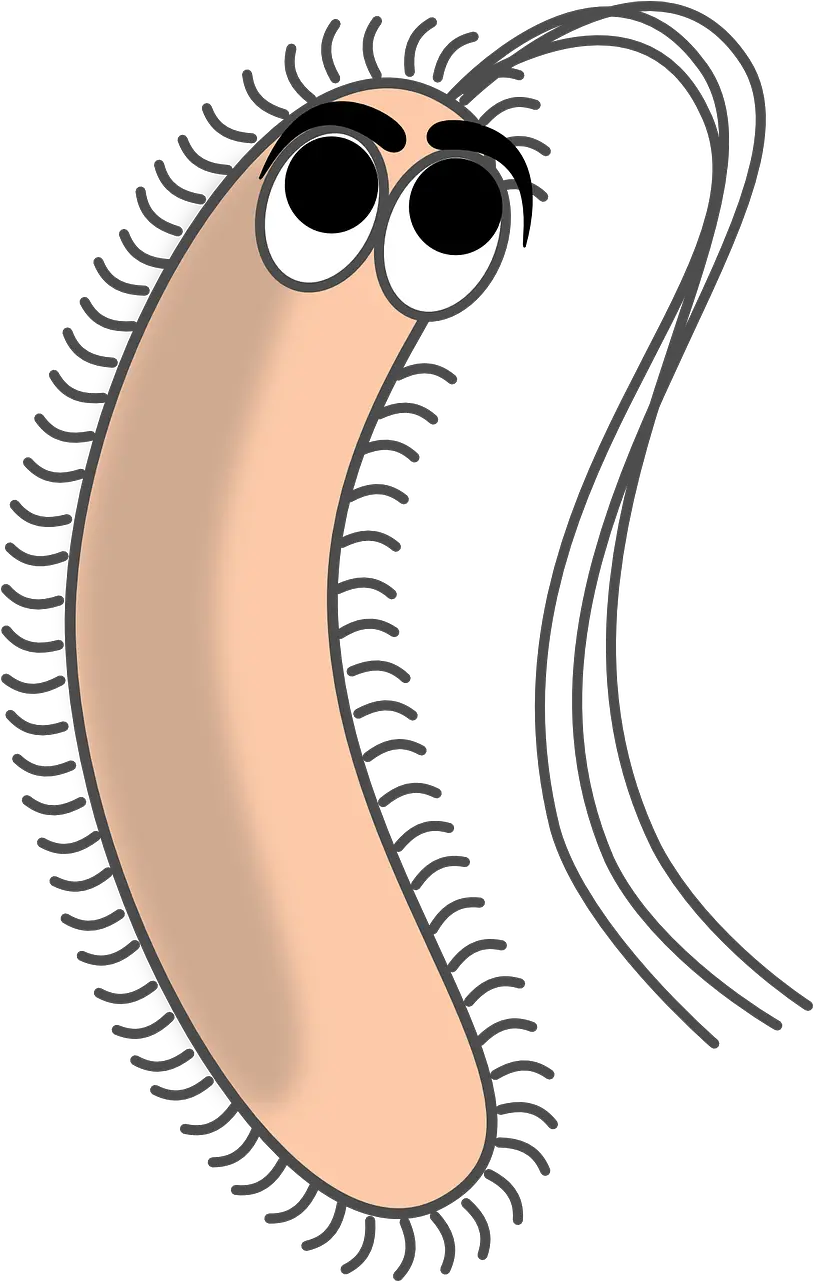 Bacteriafilamentsgermpathogenecell Free Image From Bacteria Cartoon Png Bacteria Transparent Background