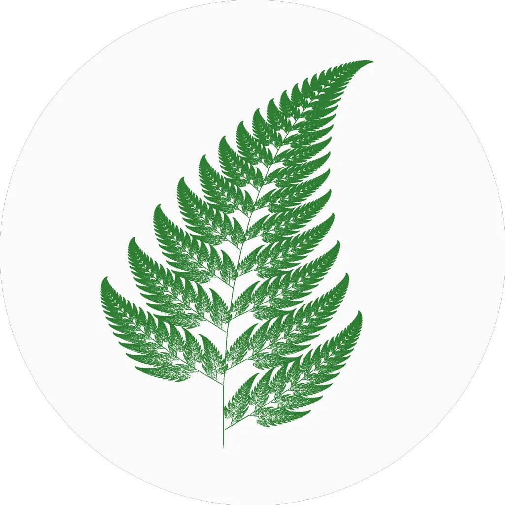 Strange Attractors U2013 Home Barnsley Fern Png Fern Icon