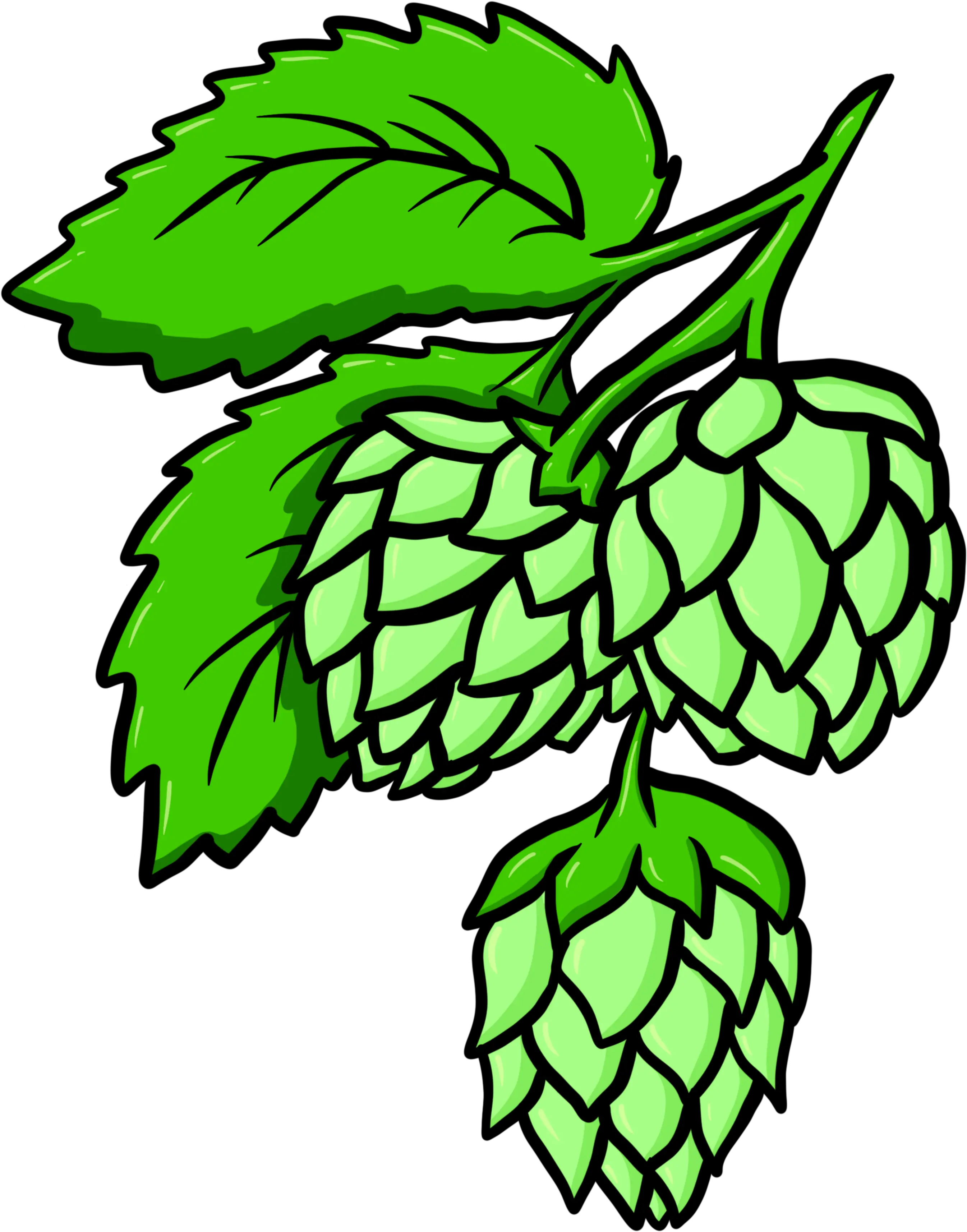 Learn More Creme De Canna Fresh Png Hops Icon