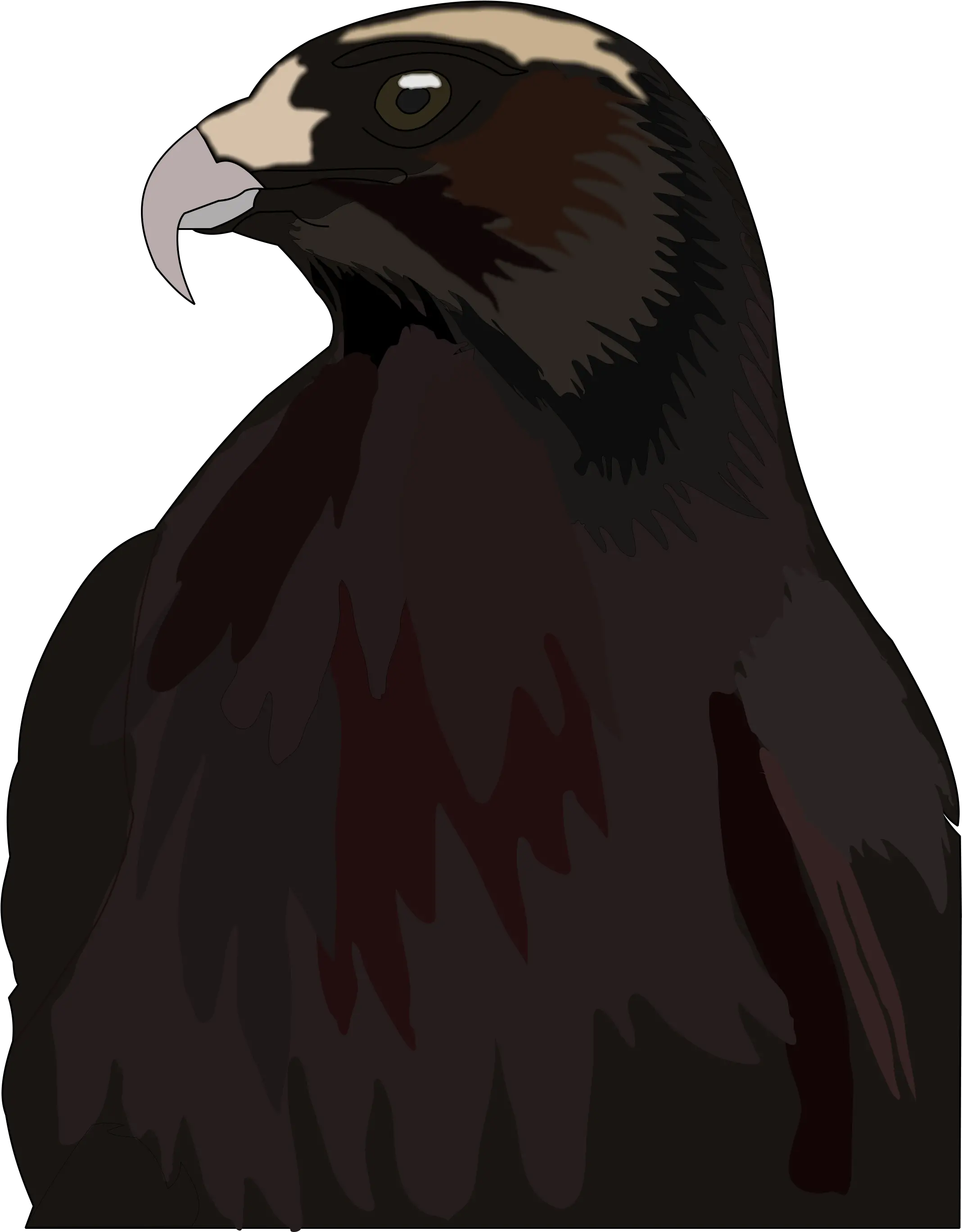 Red Falcon Png Hawk Png