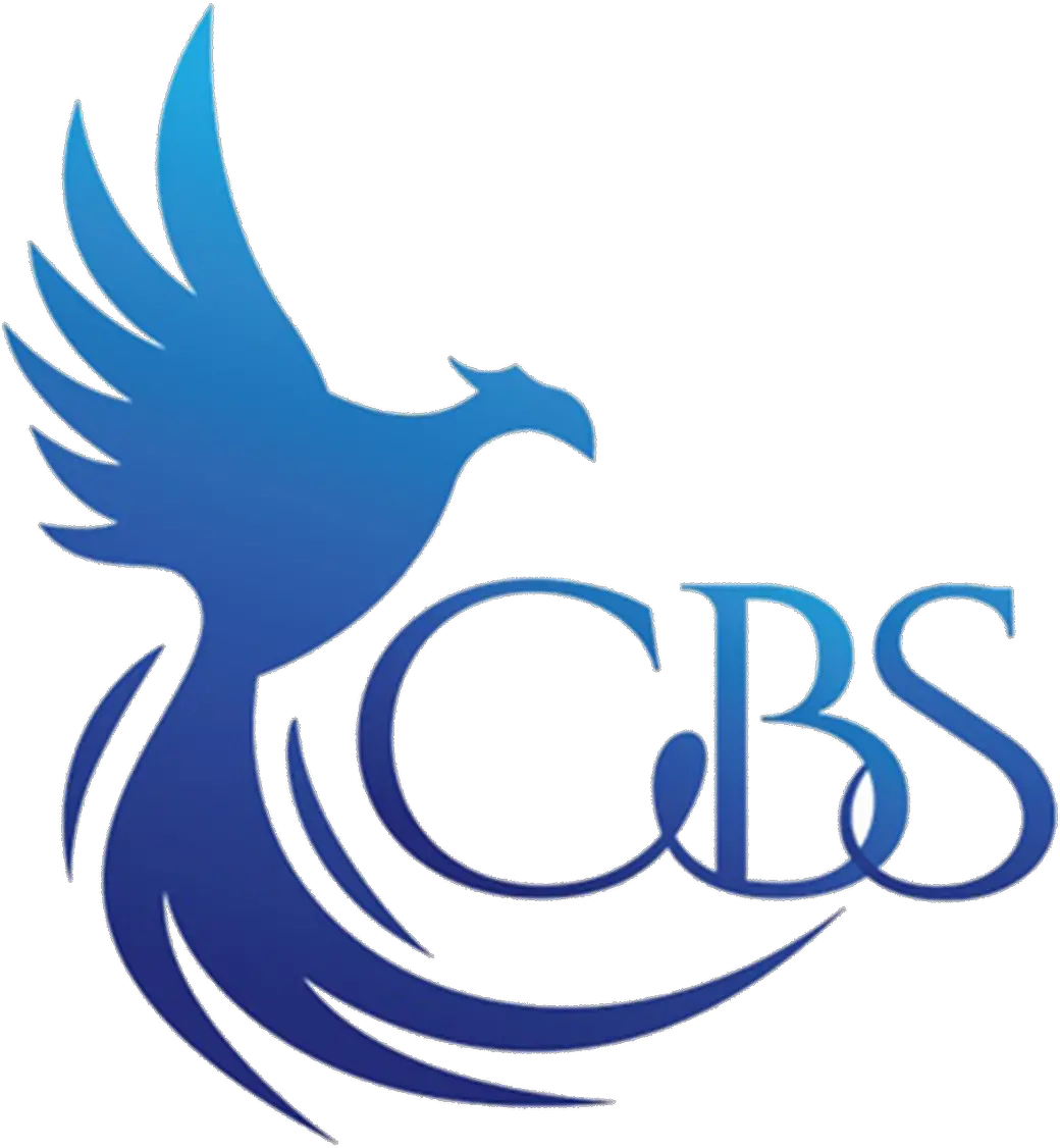 Blog Cbs Pursuits Angamaly Automotive Decal Png Cbs Png