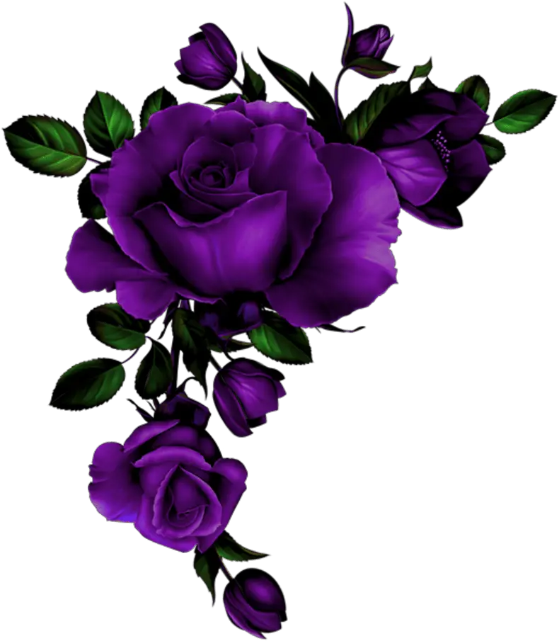 Download Hd Rose Coin Mauve Transparent Background Rose Red Roses Png Transparent Roses Transparent Background