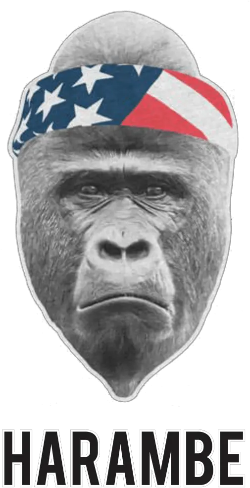 Harambe Headband Transparent Png Gorilla With Headband Harambe Transparent