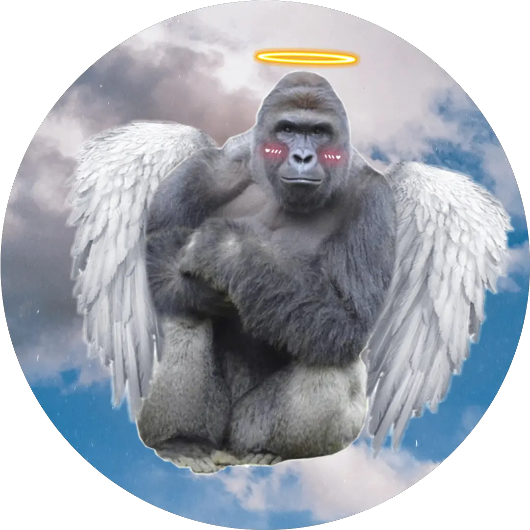 Harambe Sticker By Emma Il Melograno Png Harambe Transparent