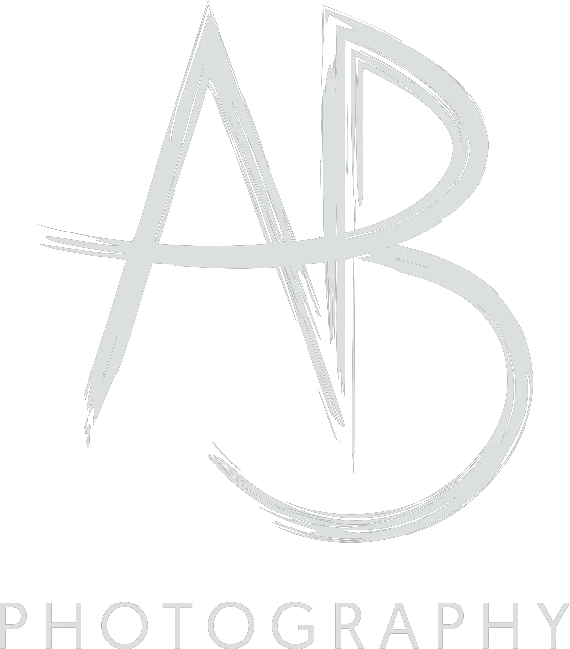 Ab Logo Png 6 Image Came A Spider Alice Cooper Ab Logo