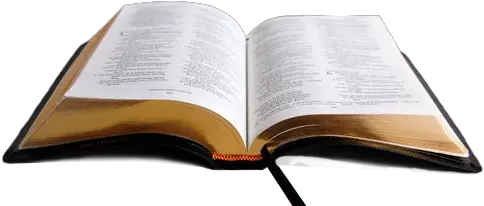 Biblia Png Image The Bible Biblia Png