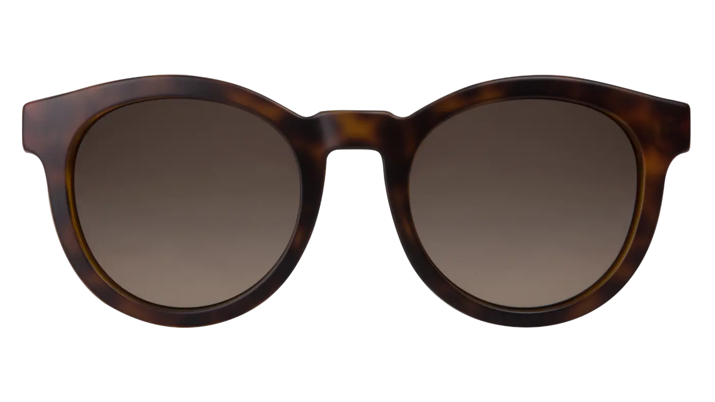 Womens Sunglasses Png