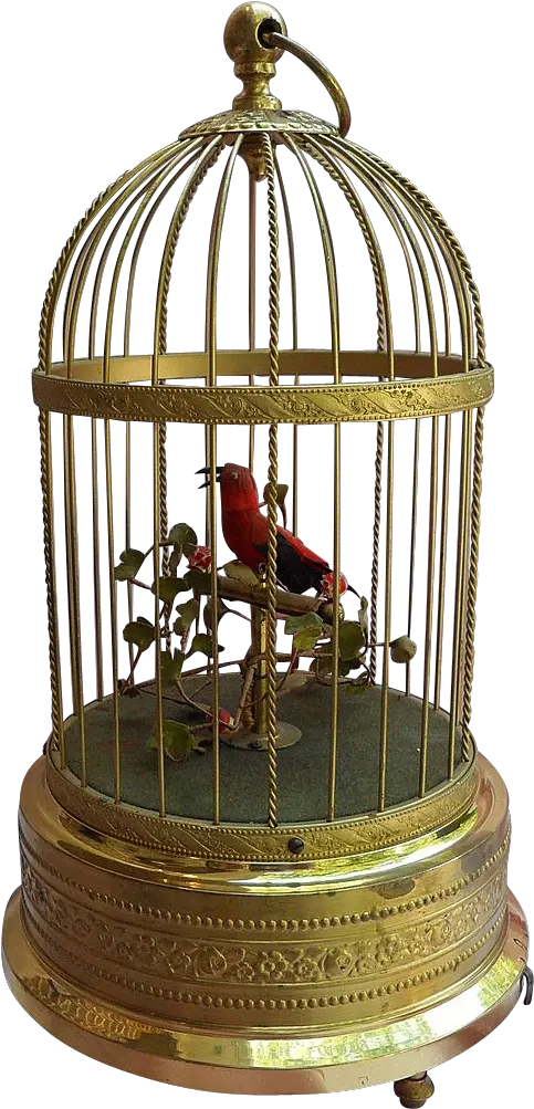 Cage Transparent Parrot Bird In Cage Transparent Png Cage Transparent