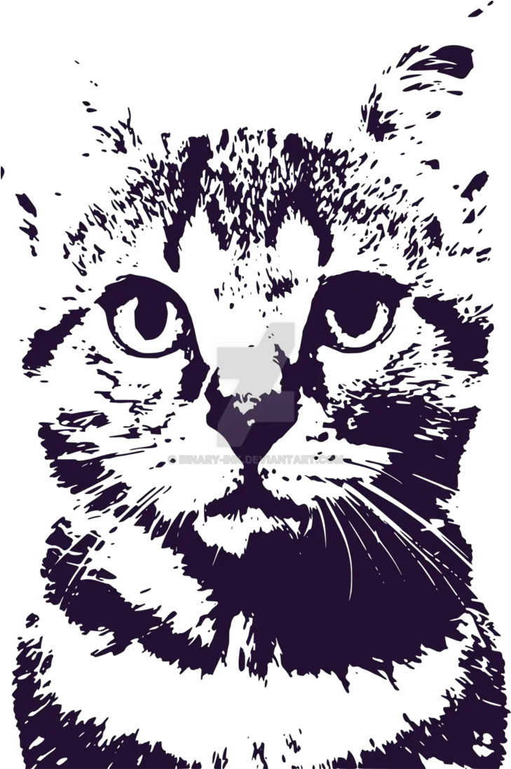 Download Hd Space Cats Png Cat Ink Transparent Png Image Cat On Space Png Cats Png