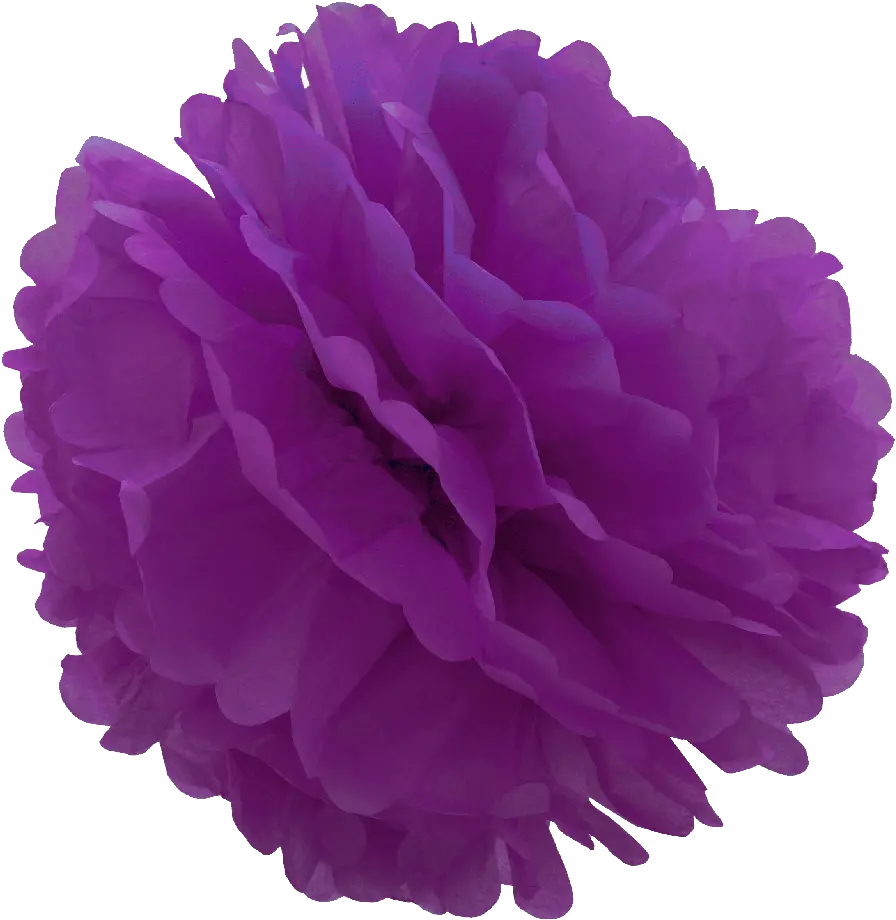 Violet Tissue Pom Png Image