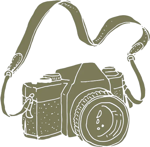 Green Bay Wisconsin Senior Portrait Photographer Carlee Secor Png Modern Camera Icon