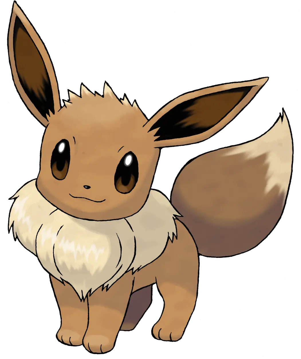 Eevee Eevee Pokemon Png Eevee Png