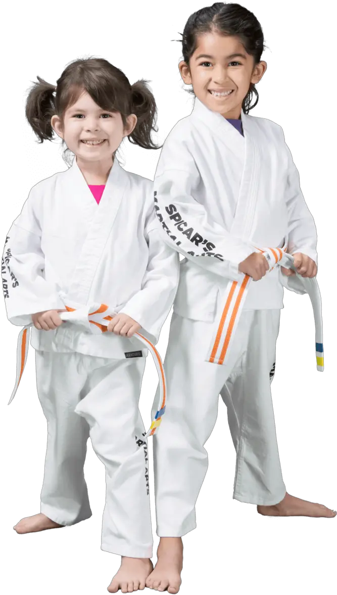 Award Winning Karate Program For Kids Boy Png Karate Png