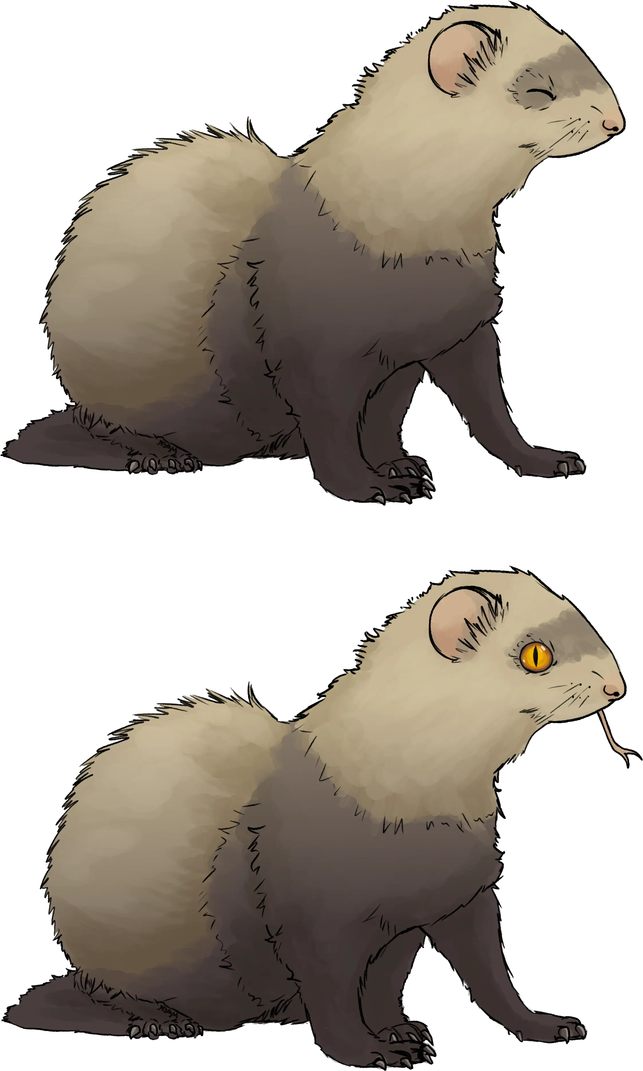 Another Ferret Request U2014 Weasyl Ferret Png Ferret Png