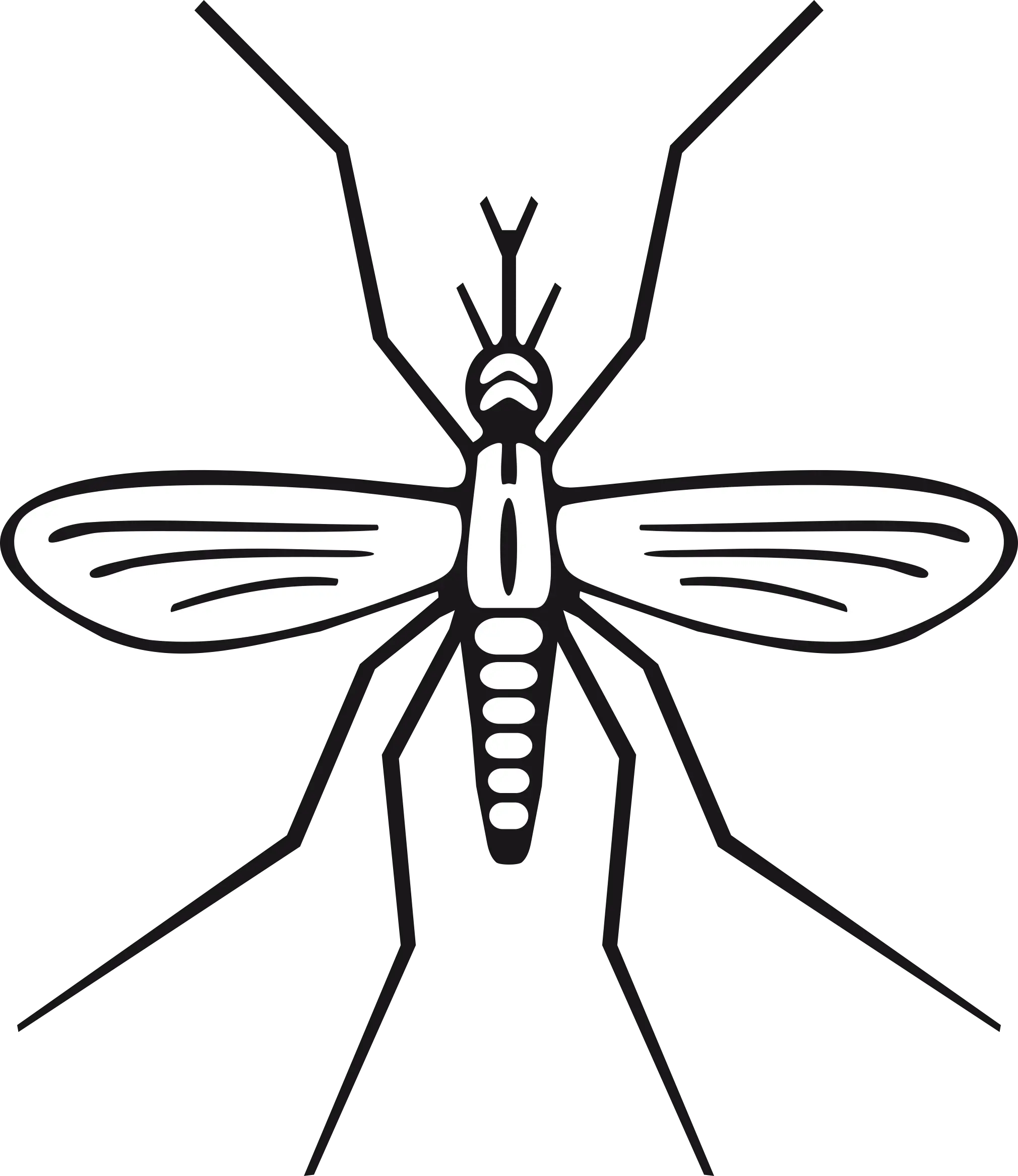 Download Mosquito Mosquito Clip Art Png Image With No Clipart Mosquito Mosquito Transparent