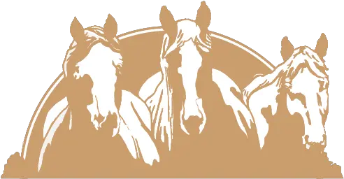 Red Horse U2013 Center For Collaborative Leadership Horse Supplies Png Horse Face Icon