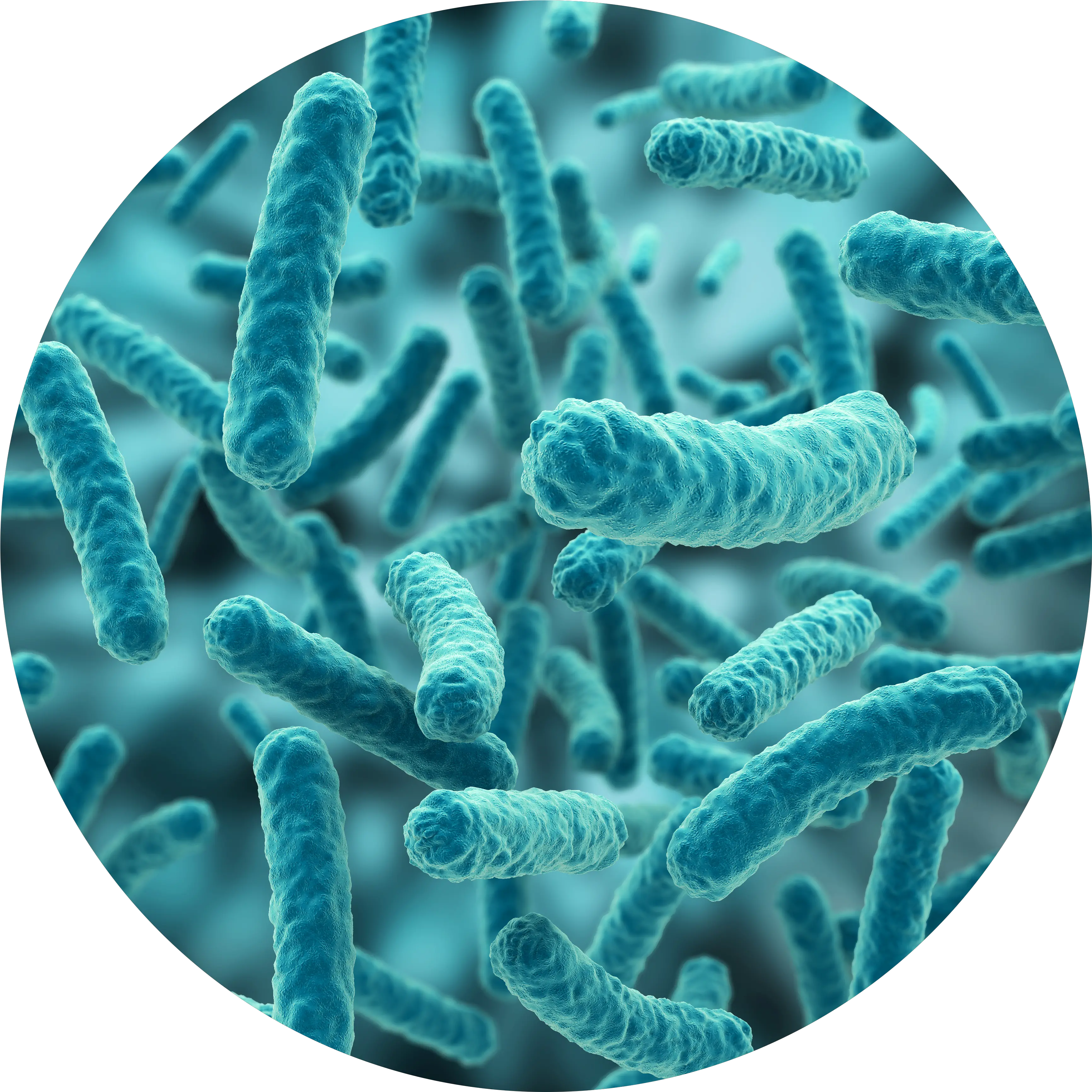 Bacteria Png Picture Bacteria Png Hd Bacteria Transparent Background