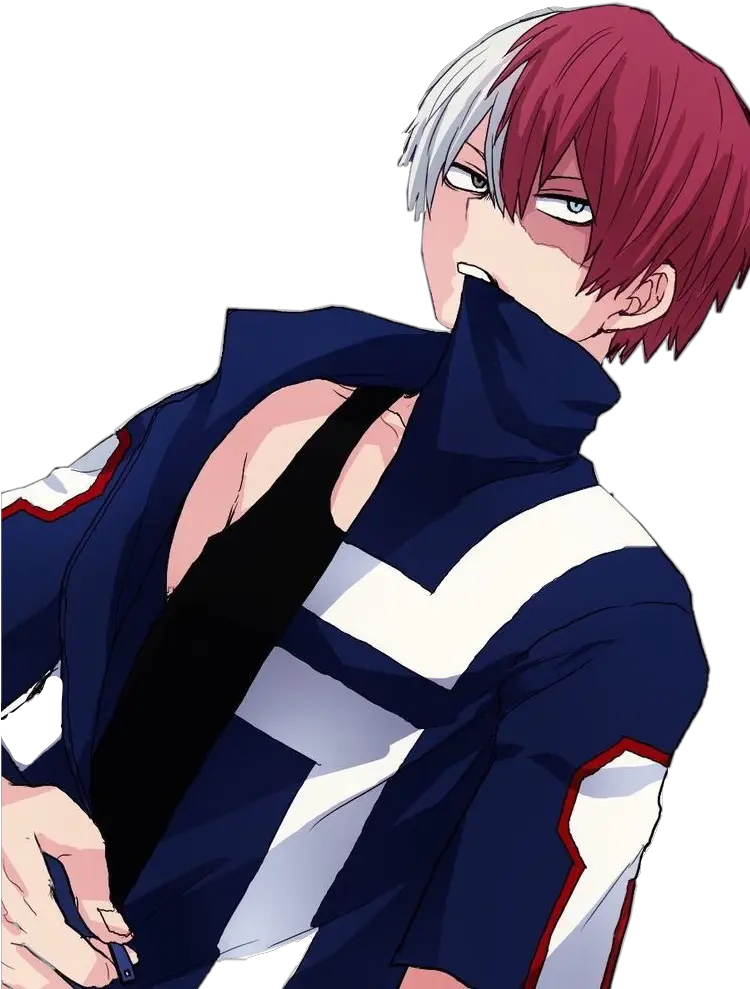 Download Report Abuse Hero Academia Todoroki Png Todoroki Png