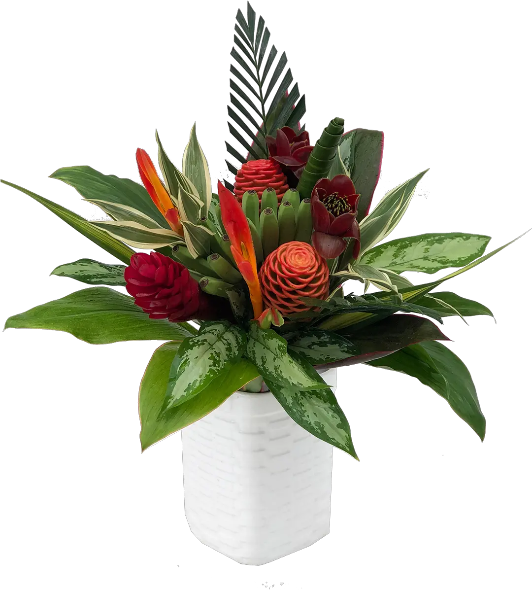 Download Bouquet Round Maraca A Poinsettia Full Size Png Poinsettia Poinsettia Png