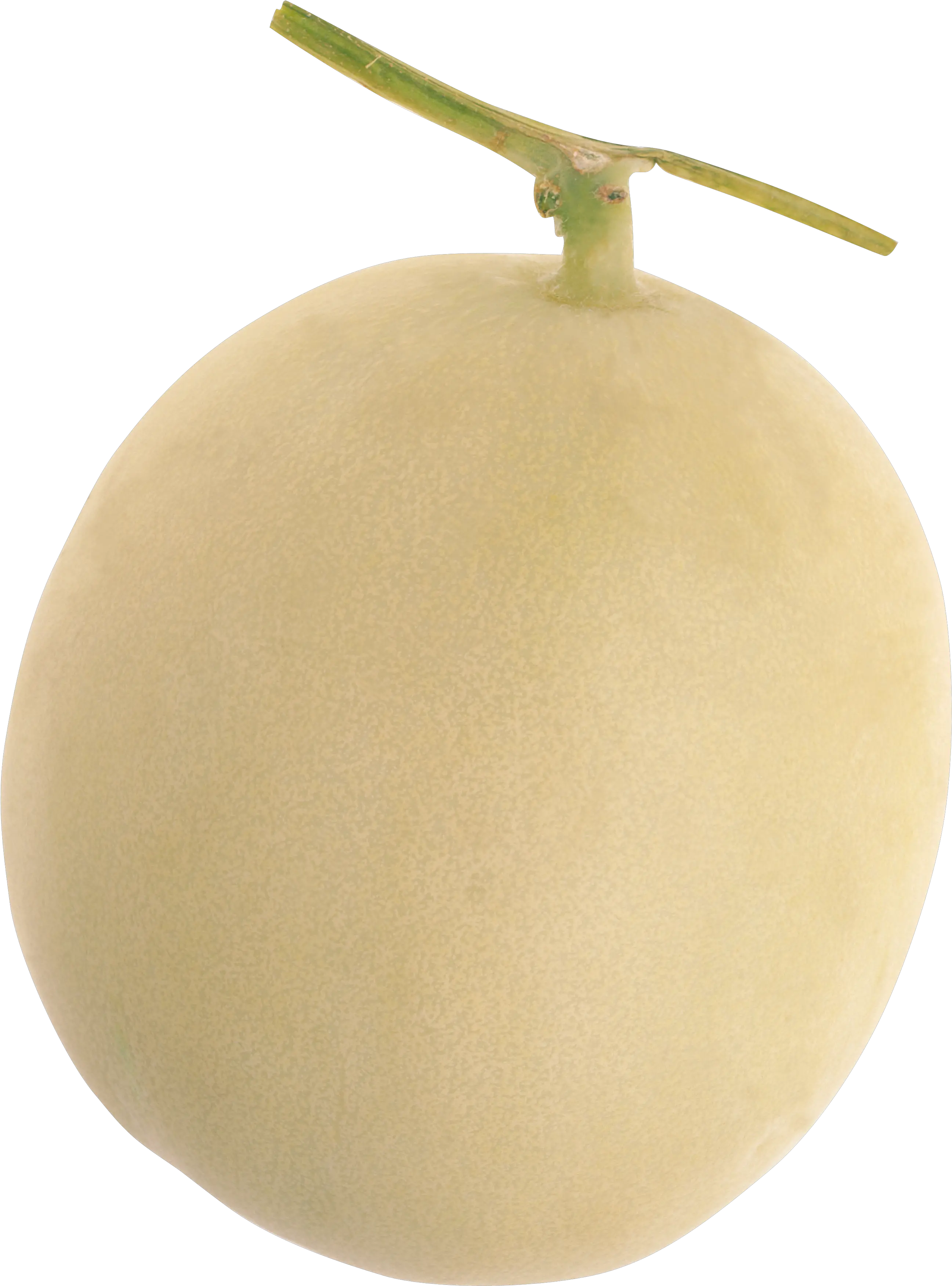 Melon Png Kiwifruit Melon Png
