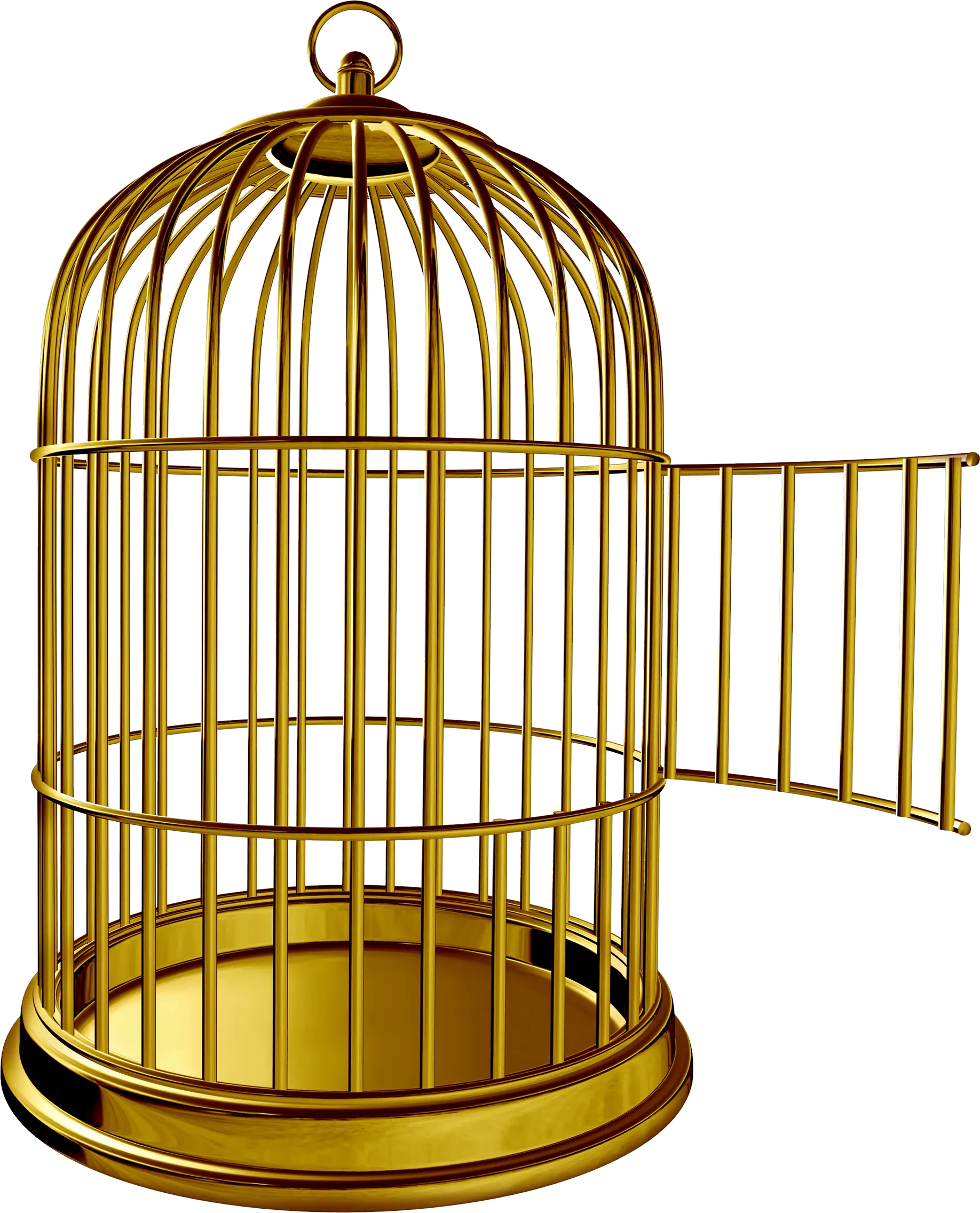 Golden Bird Cage Png Image Deekshabhoomi Cage Png