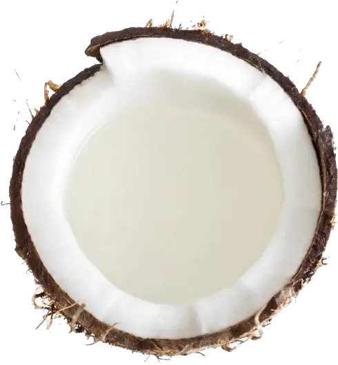 Grated Coconut Png Transparent Images Imagenes De Coconut Png Coconut Transparent Background