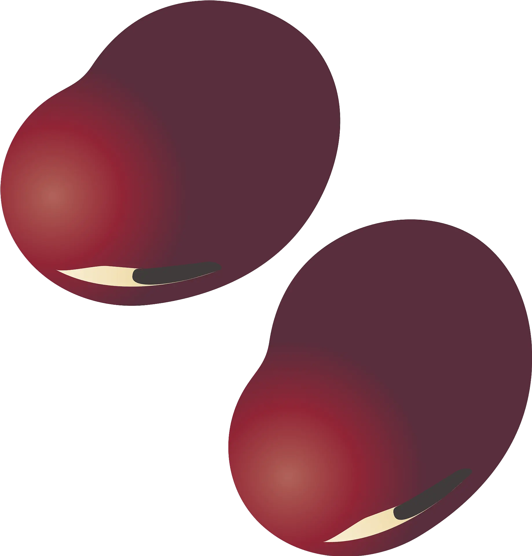 Adzuki Bean Clipart Bean Clipart Png Bean Transparent